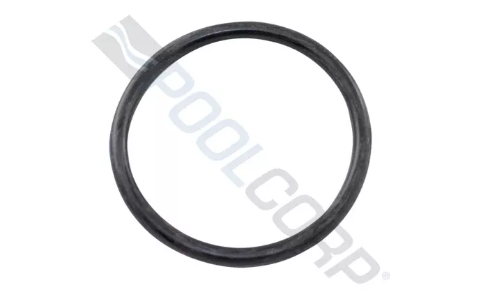 2" Union Bulkhead O-Ring