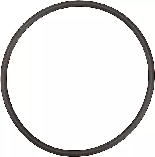 Aladdin O-24 O-Ring