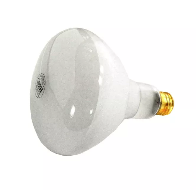 APC 120V 500W Pool Light Bulb APC120500M