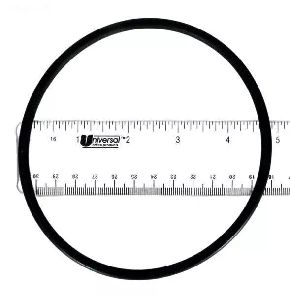 Chlorinator Lid O-Ring