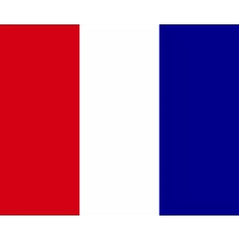 Flag Code Letter T Tango
