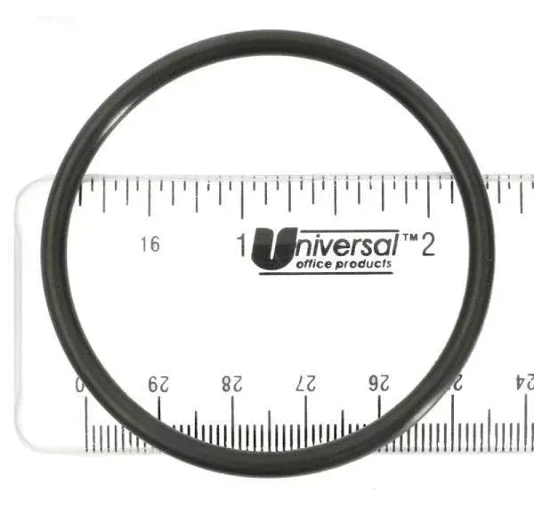 Gasket, Bulkhead Adaptor