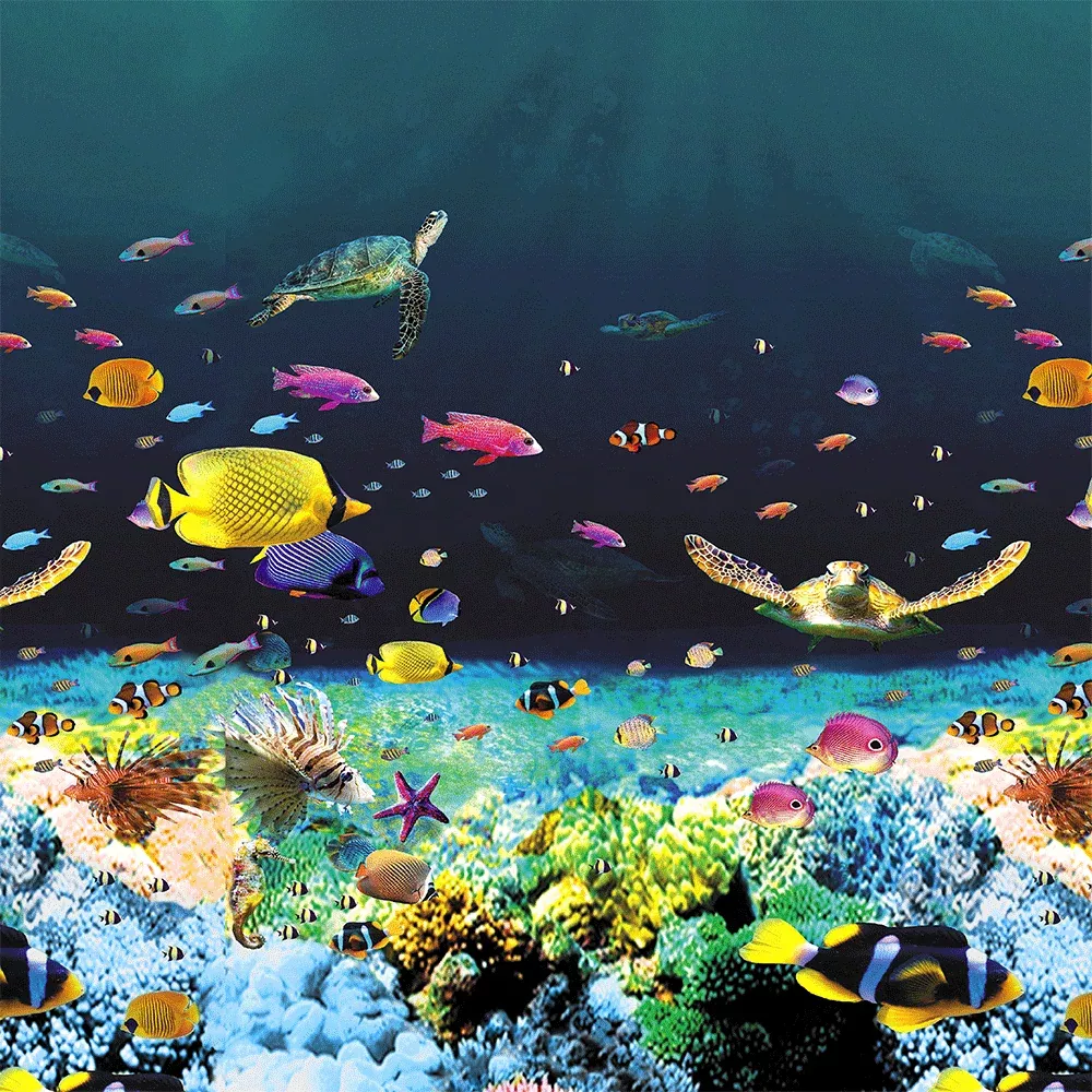 Great Barrier Reef