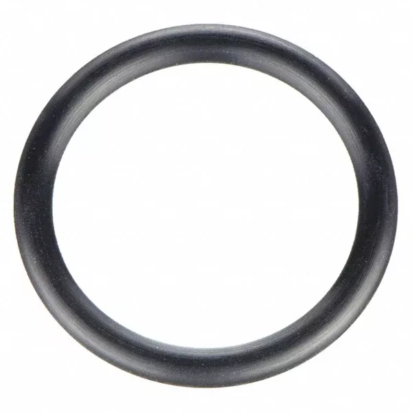 Internal O-Ring for Membrane Housing End Plug to PWT