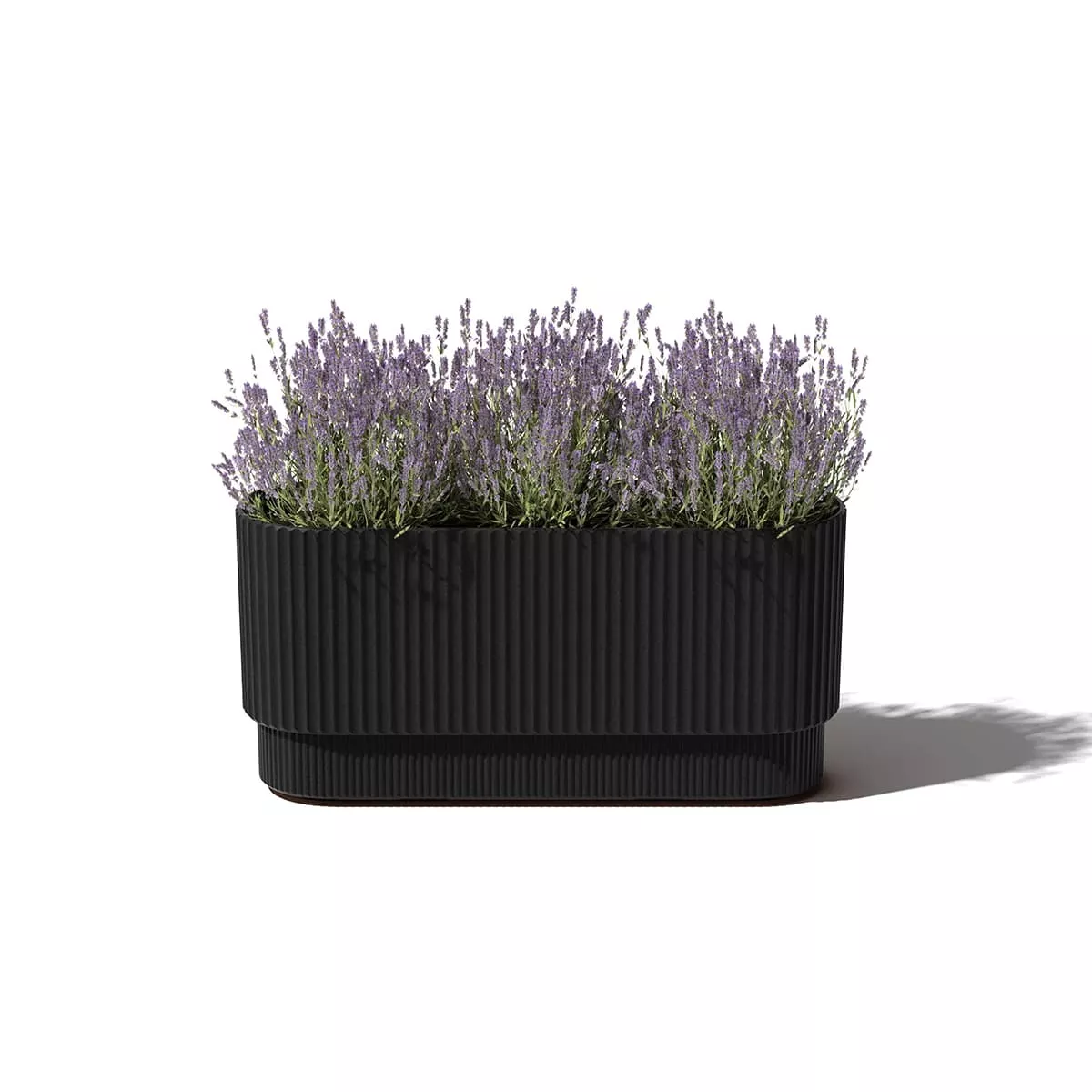 Jardinière Demi long