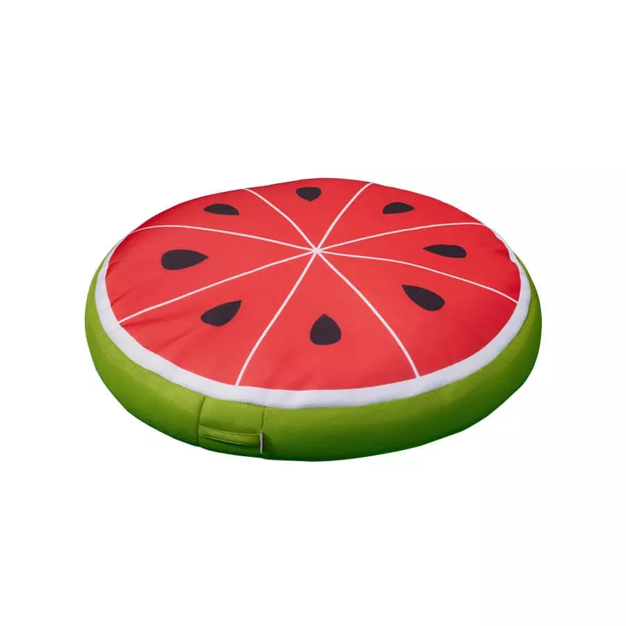 Melon d'eau flottant Pool Bean Bag
