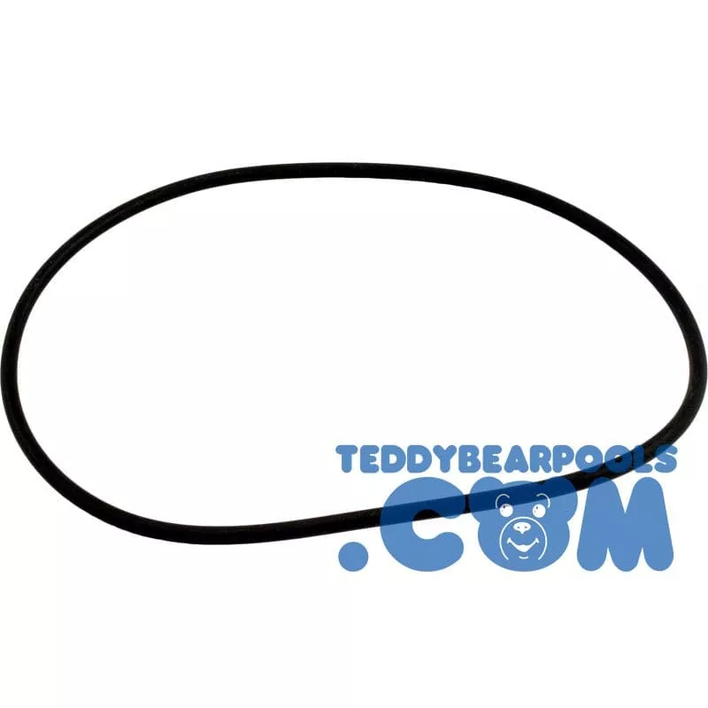 New Water Replacement O-ring (250 Viton) - Teddy Bear Pools and Spas