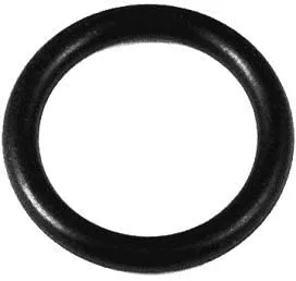 O-Ring Chlorinator Lid Viton