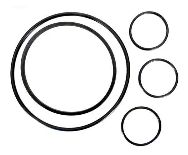 O-Ring Kit, All O-Rings on Strainer and Filter
