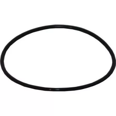 O-ring for ProSeries Reverse Osmosis Housings