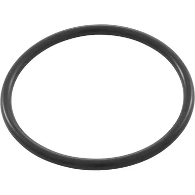 Pentair 354571 Adapter O-Ring