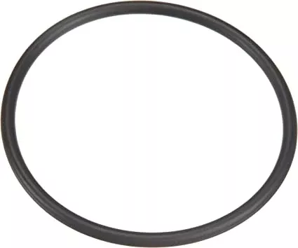 Pentair 35505-1425A System 3 Bulkhead O-Ring