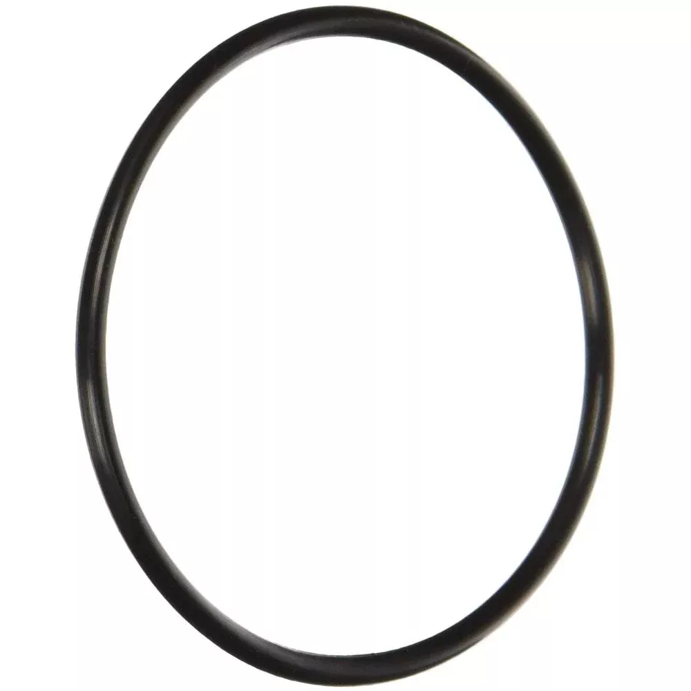 Pentair 355331Z Challenger Diffuser O-Ring - OEM Replacement