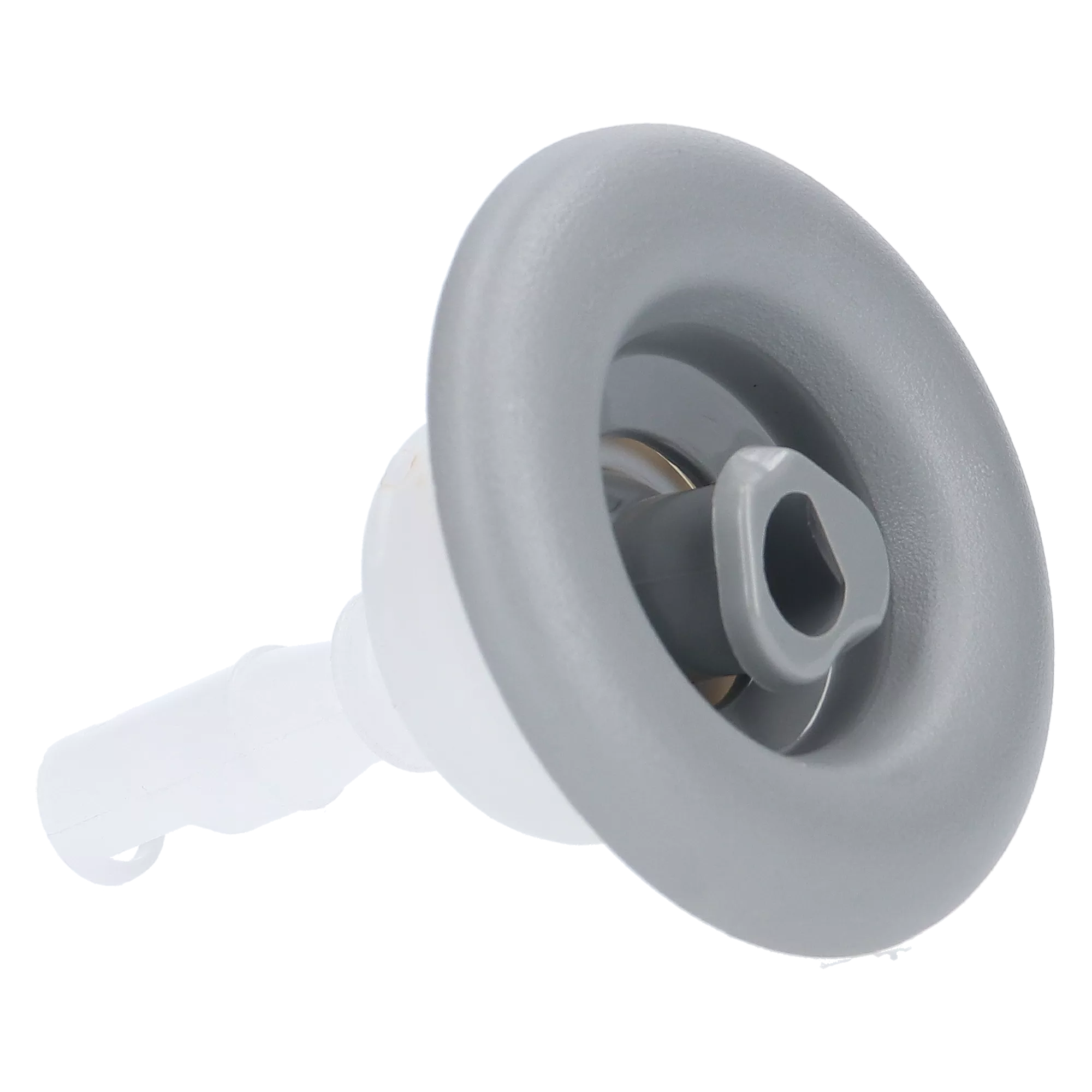 Pentair Cyclone Micro Rotating Jet Internal 5" 9661WW