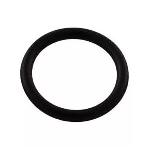 Pentair Plastic Slide valve O-Ring