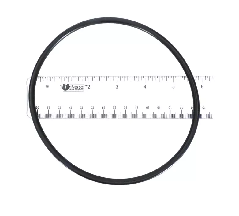 Pentair Pump Lid O-Ring 357255