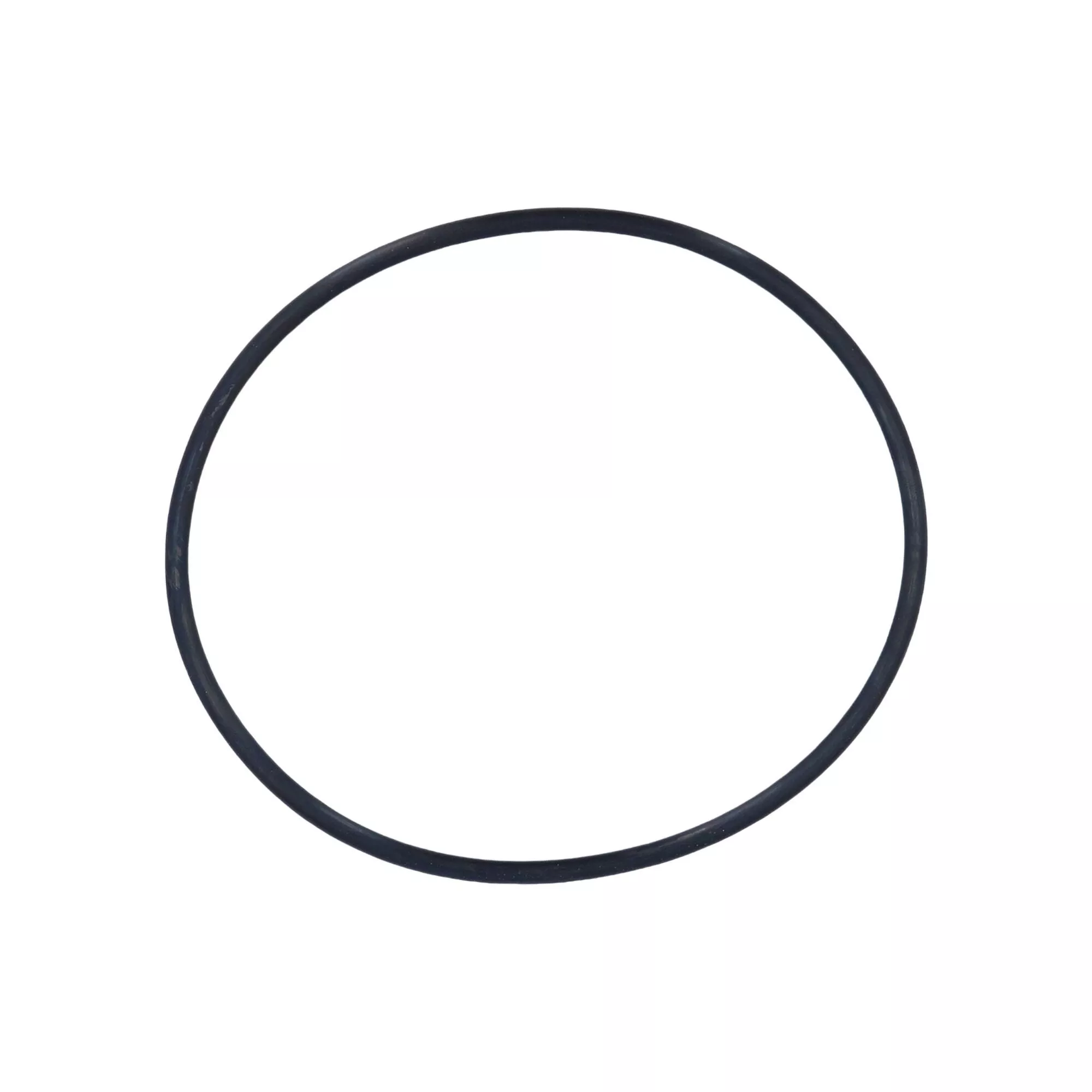 Rainbow Filter Lid O-Ring R172223