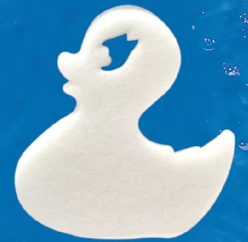 Scum Sponge Dirty Duck