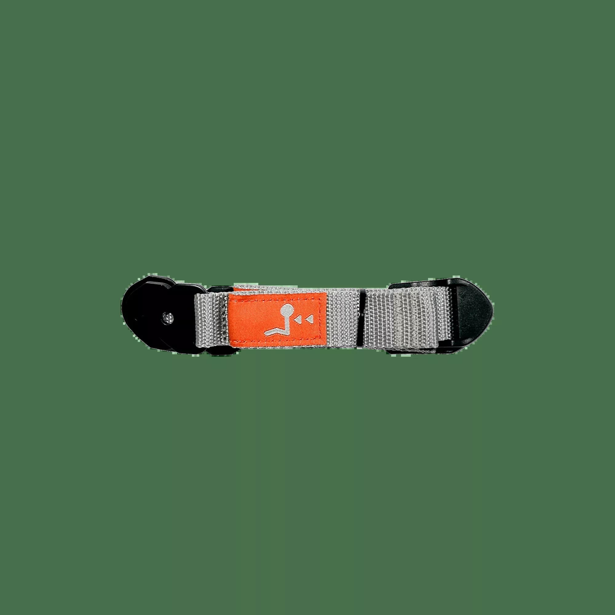 Seatback and Targa Strap Set