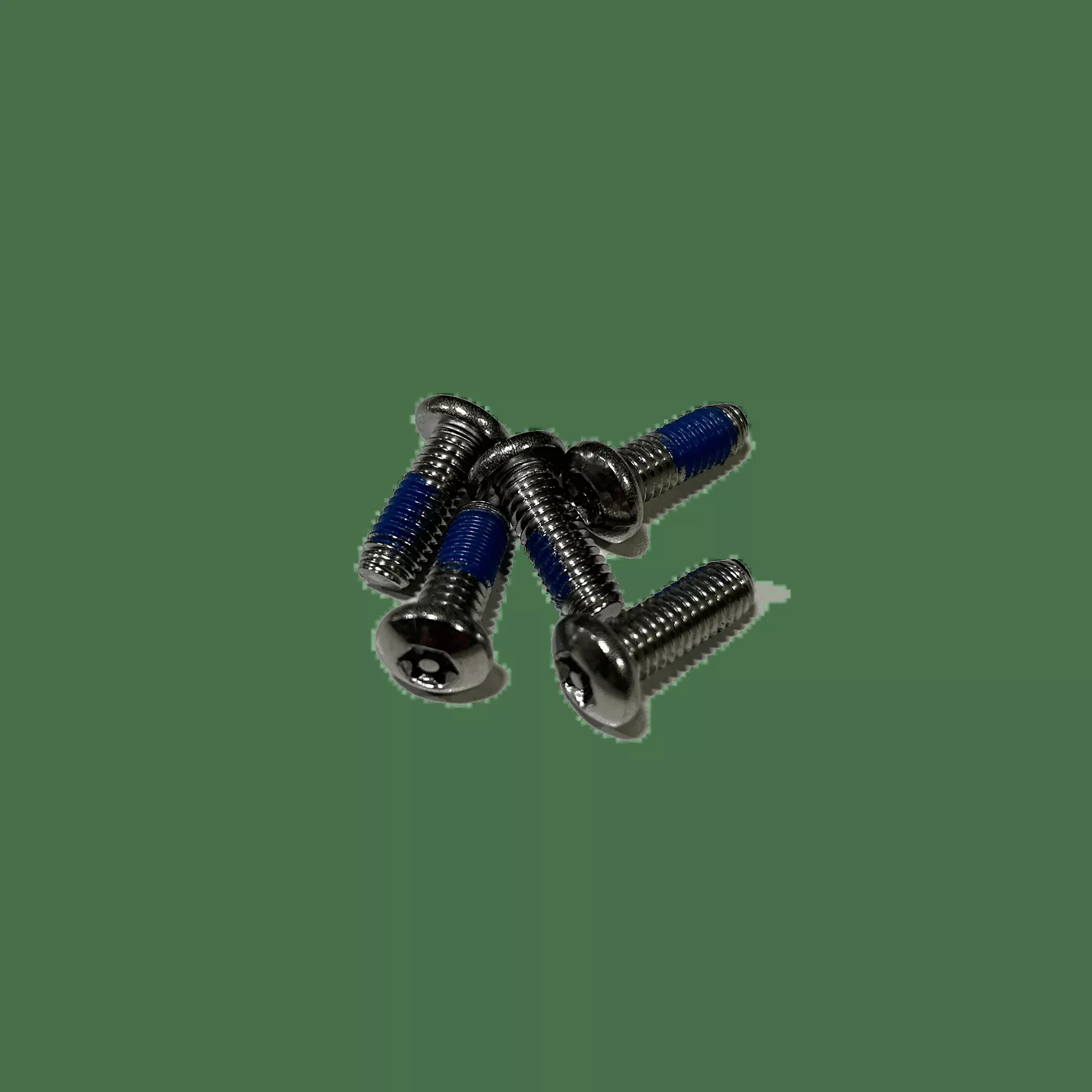Torx Screws - M6 x 16mm - 5 Pack